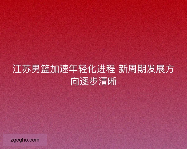 江苏男篮加速年轻化进程 新周期发展方向逐步清晰