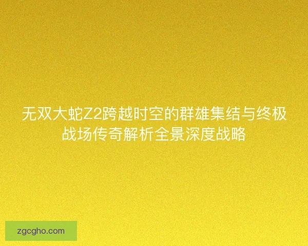 无双大蛇Z2跨越时空的群雄集结与终极战场传奇解析全景深度战略